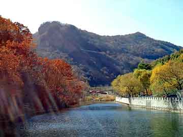 正新澳门二四六天天彩，三菱翼神油耗